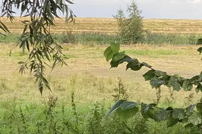 Image de Dyke breeze