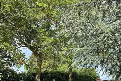 Image de Les Murmures du Colombage