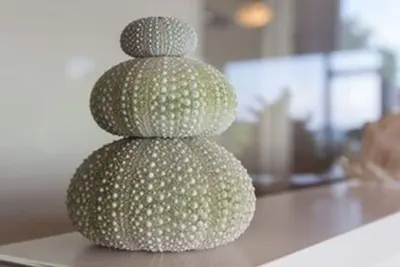 Image de 3 Bedroom 3 Bathroom Luxury Home