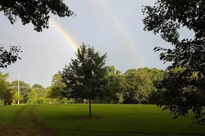Image de Firefly Lane Cabin 3