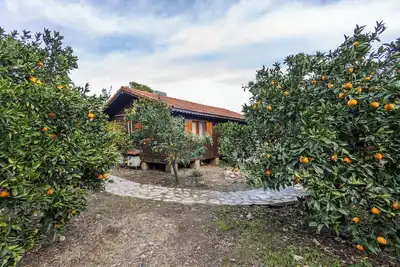 Image de tatil evi dilek çıralı türkiye