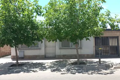 Image de Mulberry trees