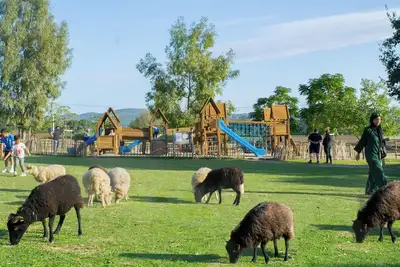 Image de Maison avec piscine location de vacances à la ferme pédagogique du dolmen