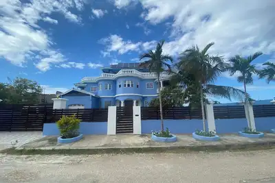 The Blue Flamingo