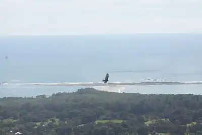 Image de Unmatched views of the Whale Tail and Uvita