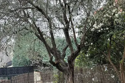 Image de Appartement cosy avec jardin en Drôme Provençale