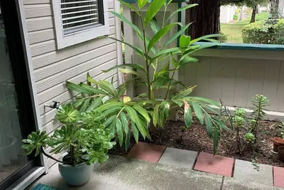 Image de Adorable condo with WiFi in charming neighborhood