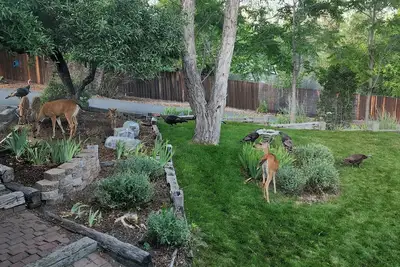 Image de I-5 adjacent Bigfoot-themed Home