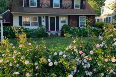 Image de Charming 4 bd cape in Quonnie's Ctrl Bch- short walk to a stunning private beach