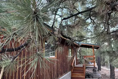 Image de Greer Piney Hollow Cabin