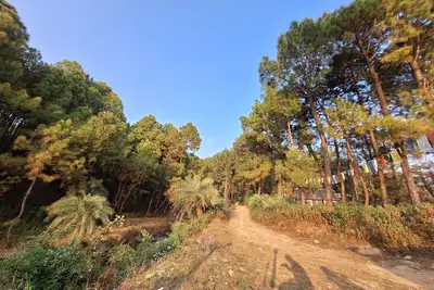 Image de 2 Bedroom & 5 Rooms Hostel property in Pine Forest at Bir-Billing H. P.