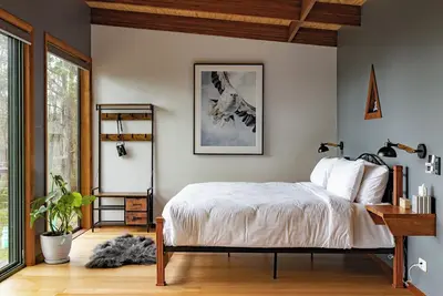 Image de White-bellied Sea Eagle Studio