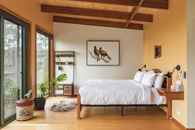 Image de Wedge-tailed Eagle Studio