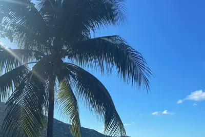 Image de Cokanut Dreams-New 3br condo in beautiful St Thomas with panoramic ocean views!