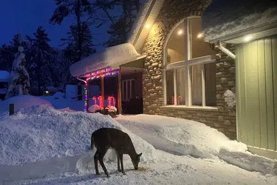 Image de Four-season Cottage with a shared private beach in Muskoka!