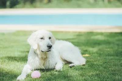 Image de For organizers of offline meetings etc 20 of / Sanbu-gun Chiba