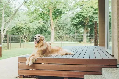 Image de Limited time offer until the end of February Mu \/ Sanbu-gun Chiba