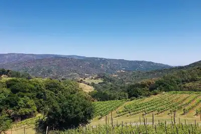 Image de Napa Vineyard with Stunning Views By Allevo Homes