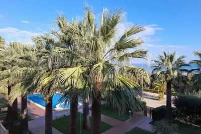 Image de Bel appartement en 1ère ligne sur la mer avec piscine, palmier