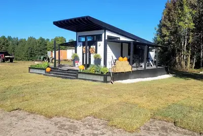 Image de Love Highland Cows? Experience them up close in our tiny house in Jefferson, Sc