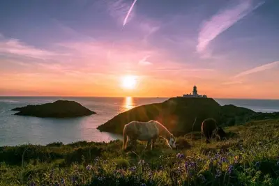 Image de Carreg Yr Onnen - Entire House within Pembrokeshire National Park (Dog Friendly)