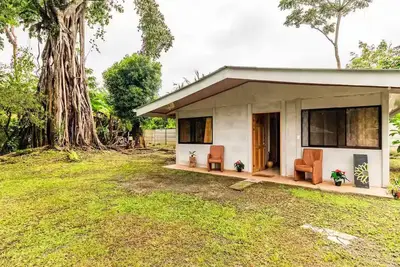 Image de Escape to Paradise: Your Tropical Retreat Awaits! Your Home Away from Home. . . \n\n