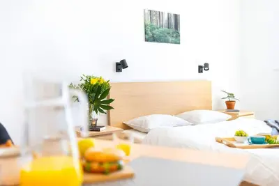 Image de Ĺ tĂşdiovĂ˝ apartmán s balkĂłnom a rozkladacĂm kreslom