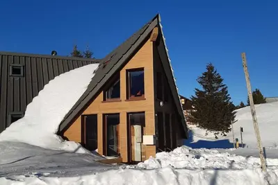 Image de lion Beige- Chalet 10 places station de ski du Vercors
