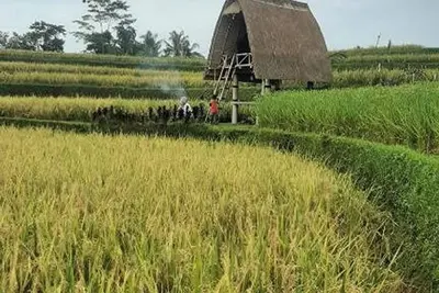 Image de Batan Nyuh Retreat Tegallalang