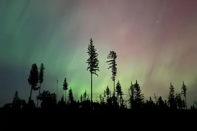 Image de Charming 2-bedroom barn in Saint Maries with Ac, fitness room, WiFi