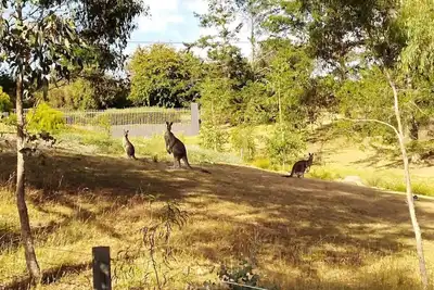 Image de The Purple House - corner spa, views and wildlife in tranquil Hepburn Springs