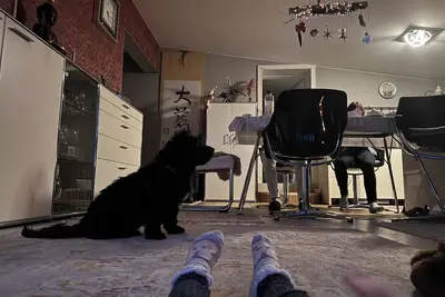 Image de Vacation apartment in the middle of the Lewitz between meadows and forests, with sauna