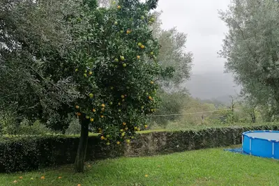 Image de Casa Da Adega \nInserida em pequena aldeia pacata em terras de Bouro, GERÊS