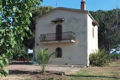 Image de House in the greenery of a large citrus grove, private access to the beach. Relaxation and peace!