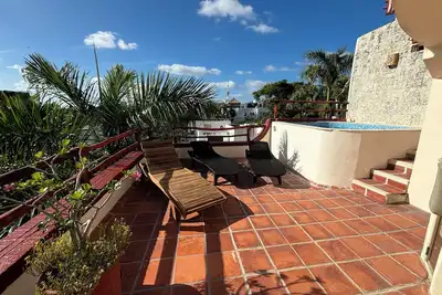 Image de Luxury Oceanview Dt. Playa Centro Penthouse, Private Roof Top Deck, Plunge Pool.