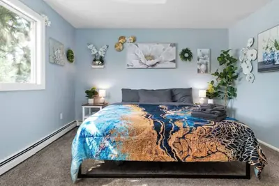 Image de Pied Piper Pad in Umed -4