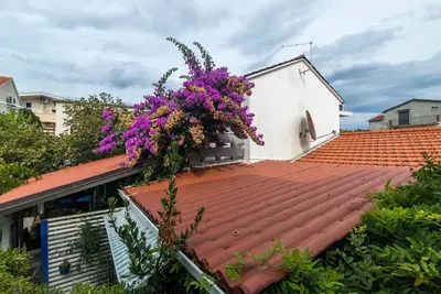 Image de Maison Zeljko (10625-K1) - Sucuraj - île de Hvar