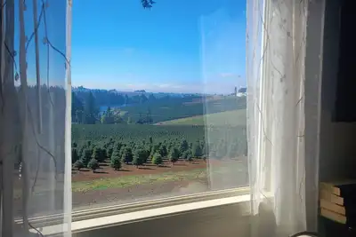 Image de Guest House at Buena Vista Lavender Farm