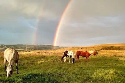 Image de Ranches, Lakes, Mountains & the Great Outdoors. Bring Your Horses Pasture Onsite