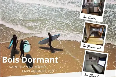Image de Mobil home 3ch climatisation St jean de mont