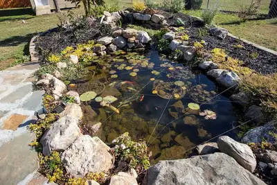 Image de Charming Modern Home with Koi Pond & Spacious Backyard – Sleeps 6