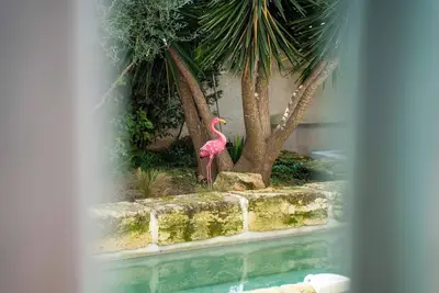 Image de la Provence centre ville, Piscine, Jardin, Terrasse