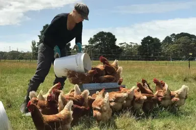 Image de Tall Poppy Farm stay cottage