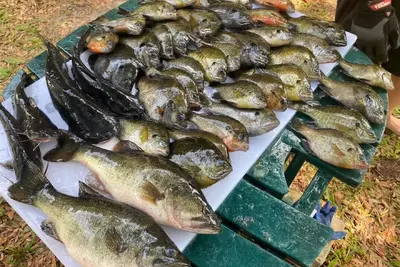 Image de Free Boat to use - Fish from the Tiki outback - Dock your boat on canal- Pets Ok
