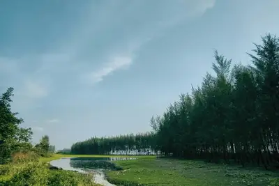 Discover the Denver Tech Center