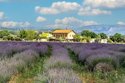 Transform your Travel at Denver Marriott Tech Center