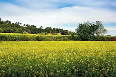 Image de Discover our new Aurora, Colorado hotel