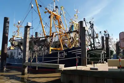 Image de Ground floor, quietly located vacation apartment in Ditzum