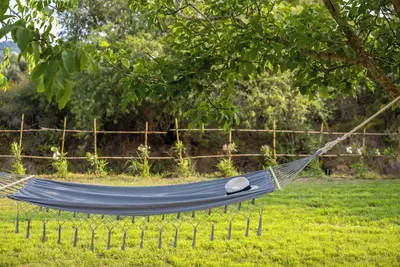 Image de Agapanthus Retreat, your peaceful island escape