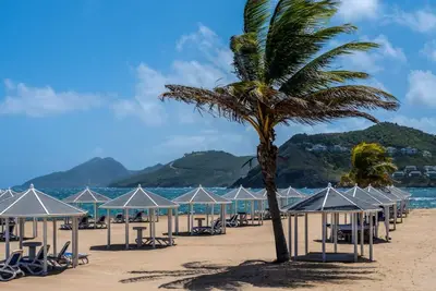 Image de Discover St. Kitts: Marriott Resort Stay